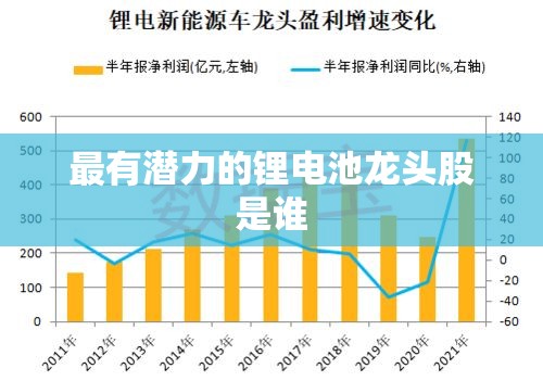 最有潜力的锂电池龙头股是谁 最有潜力的锂电池龙头股是谁