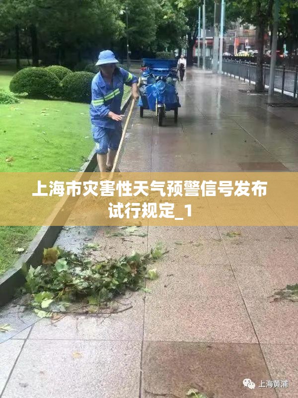 马自达敞篷车mx5