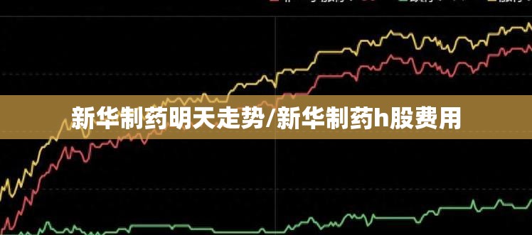 【雅戈尔属于什么档次,雅戈尔属于什么档次的】
