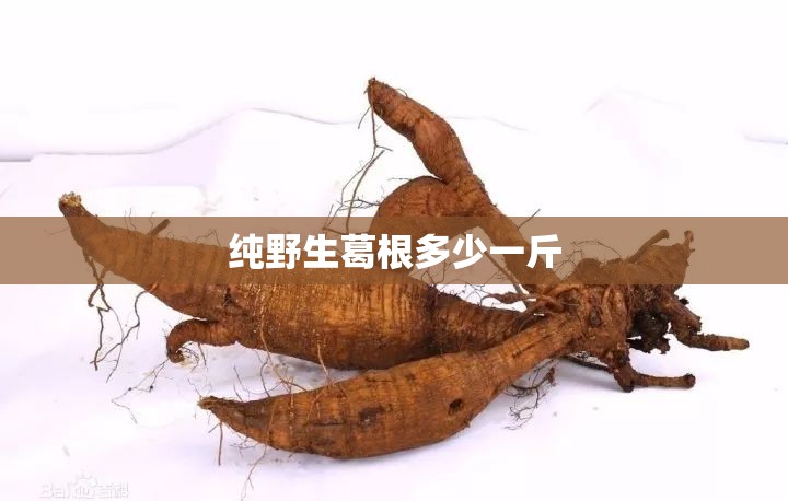 凯迪拉克4s店地址及电话