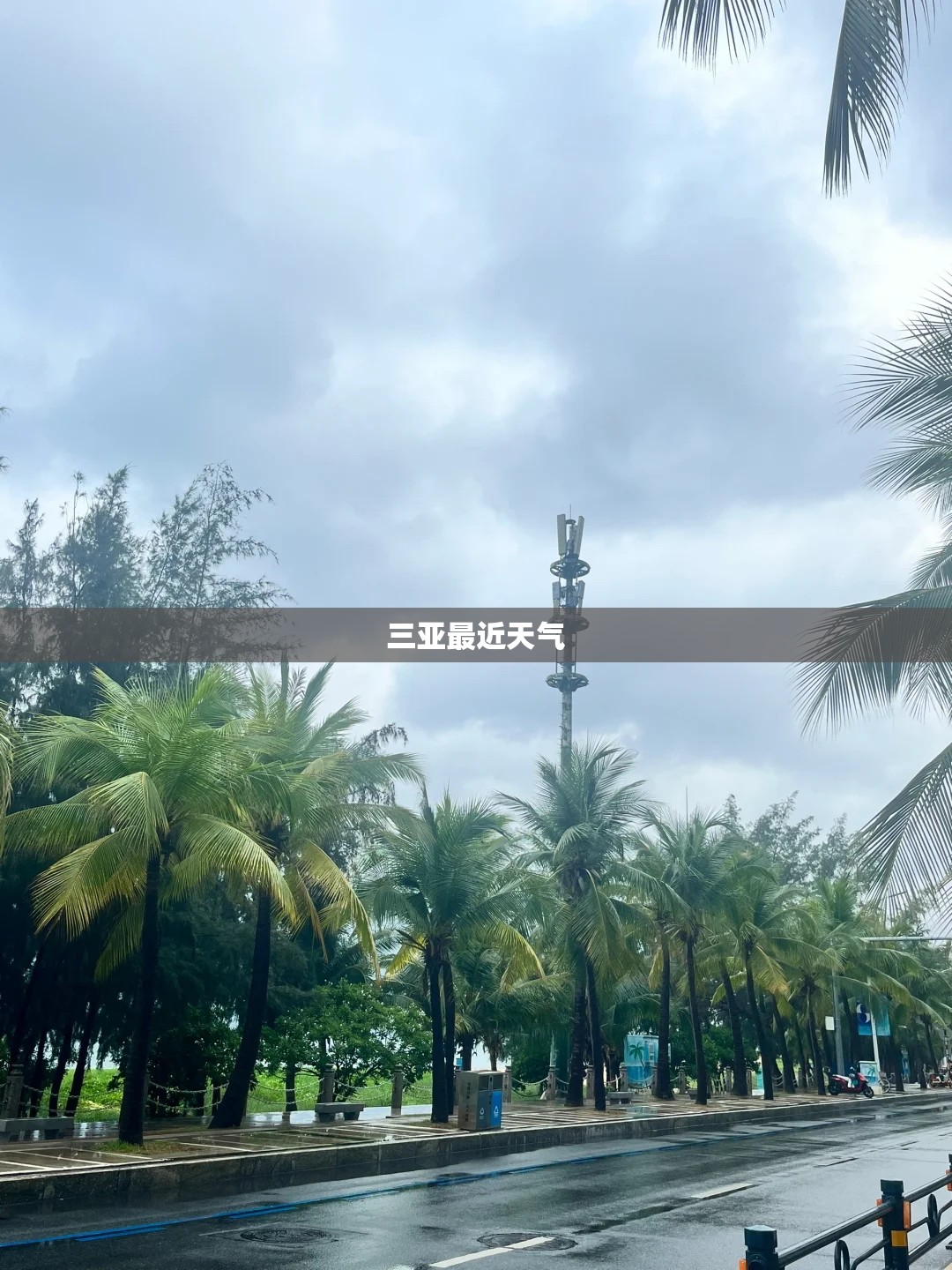 三亚最近天气