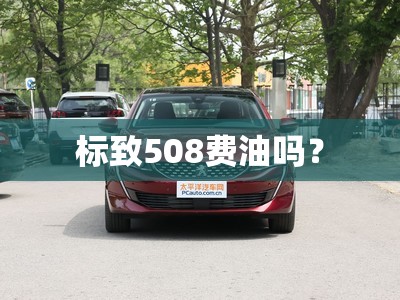 标致508费油吗？