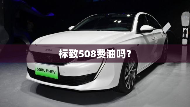 标致508费油吗？
