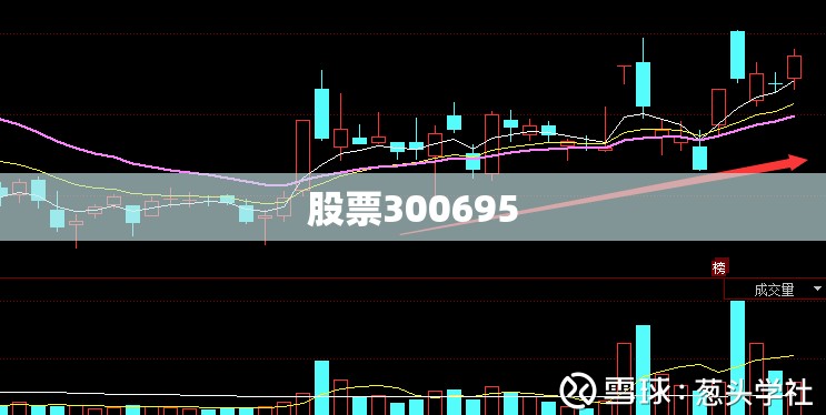 保时捷911买哪一款好