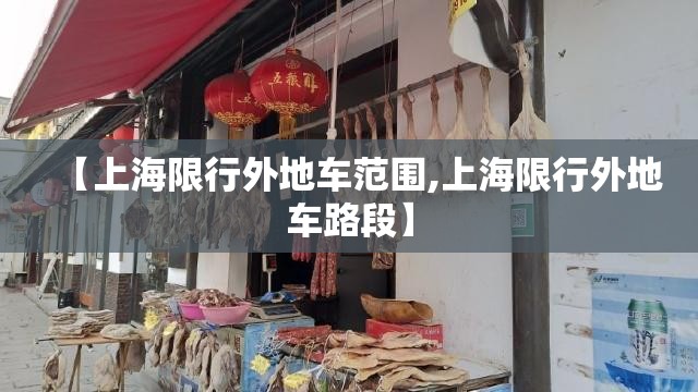 2024电动自行车推荐/2025年买电动车