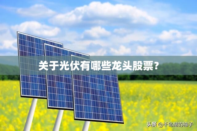 关于光伏有哪些龙头股票？
