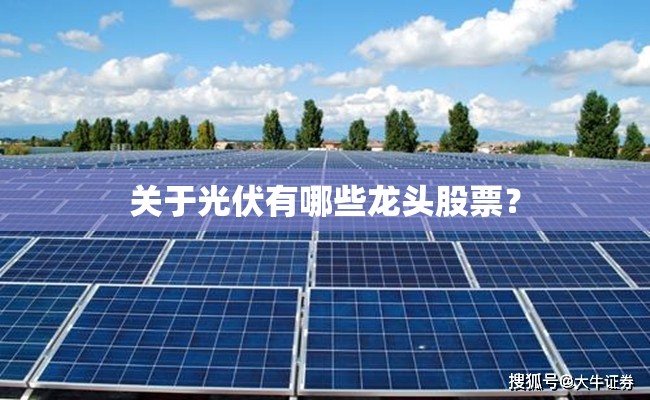 关于光伏有哪些龙头股票？