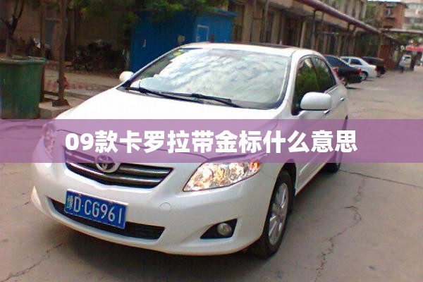 郑州帝尔美整形医院的专家队伍
