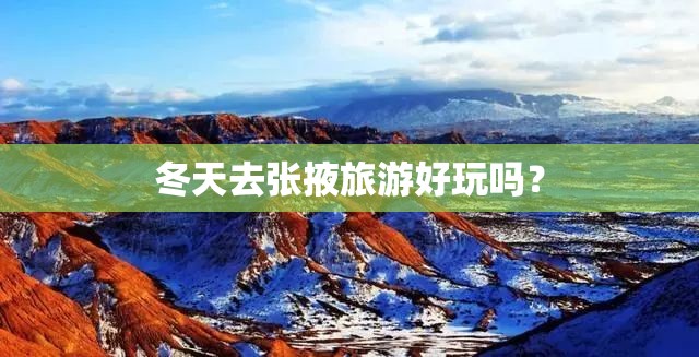 09款卡罗拉带金标什么意思