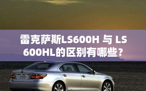 540008基金净值查询今天最新净值基金排名