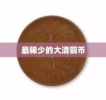 进口品牌奶粉(中老年进口奶粉哪个品牌比较好)