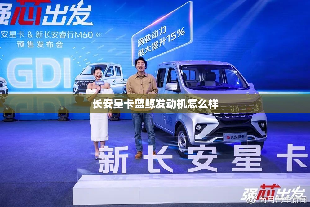 【柴油车故障灯标志图解大全,柴油车所有故障灯图解】