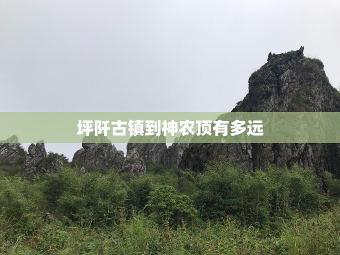 坪阡古镇到神农顶有多远
