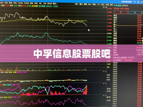 300056中创环保/300056中创环保行情