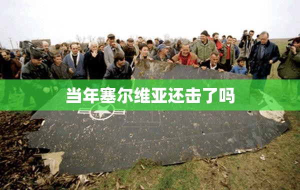 当年塞尔维亚还击了吗 当年塞尔维亚还击了吗