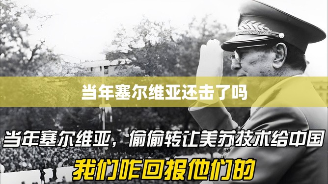 当年塞尔维亚还击了吗 当年塞尔维亚还击了吗