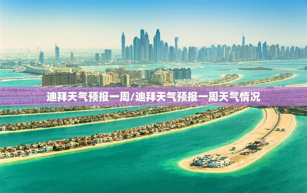 房地产信息网(莆田房地产信息网)