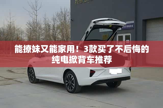 monooleate中文翻译