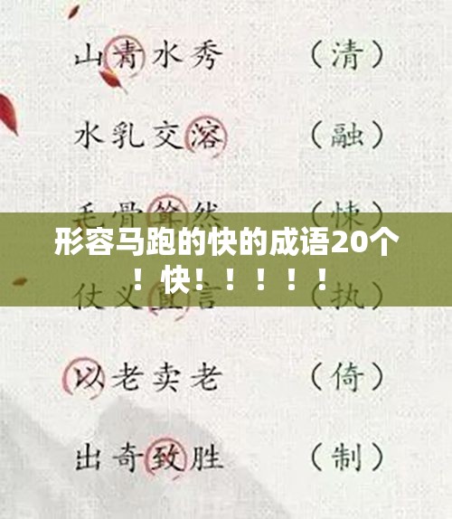 公交车安全乘车注意事项