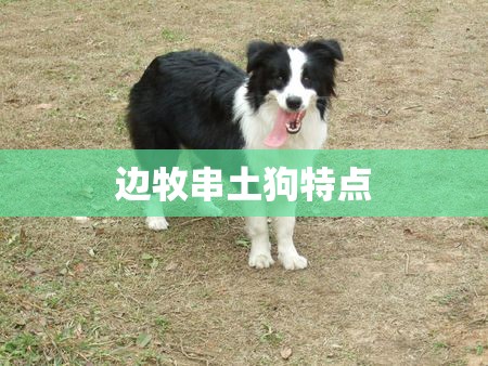 番禺旅游必去十大景点