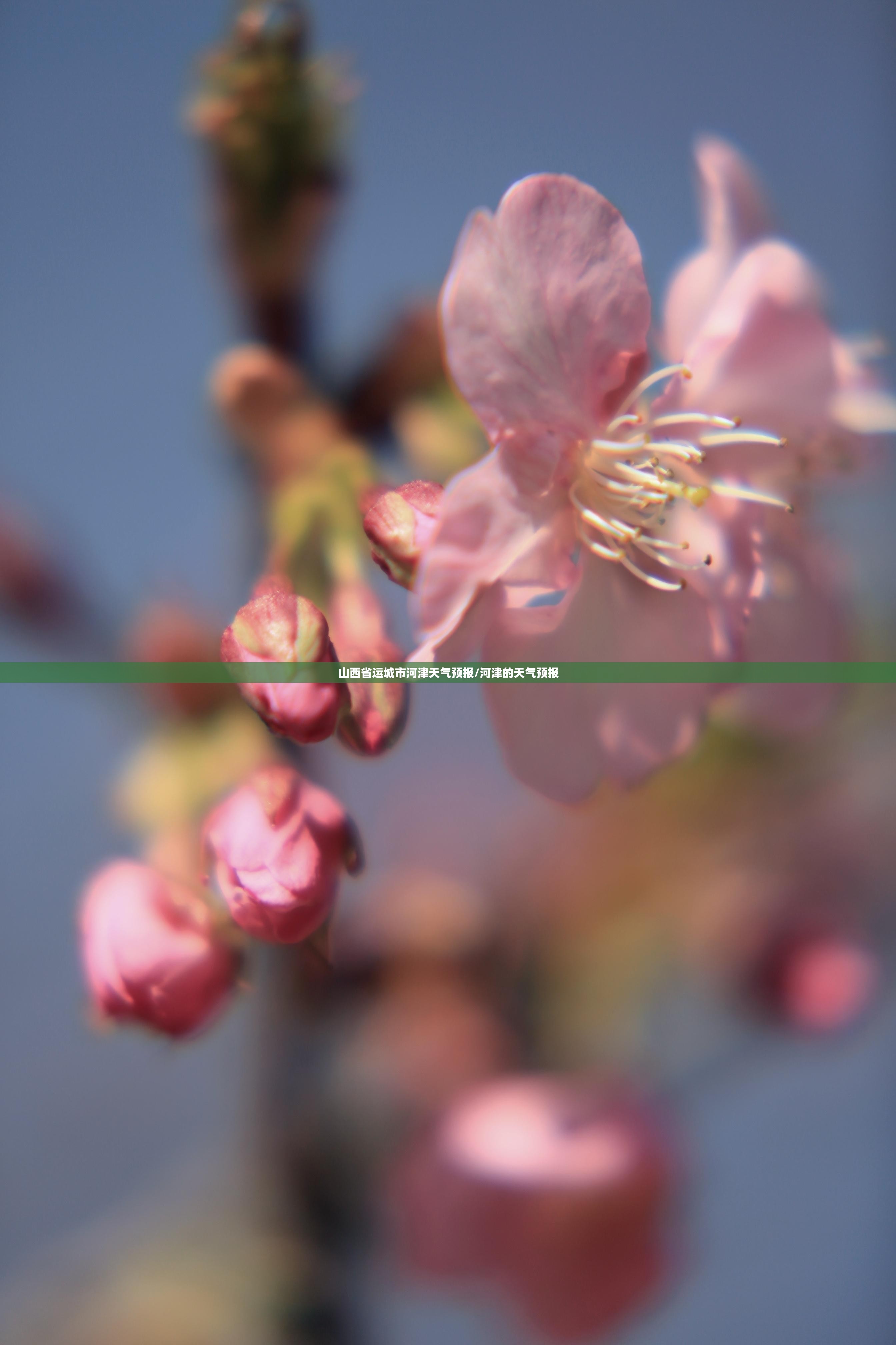 山西省运城市河津天气预报/河津的天气预报 山西省运城市河津天气预报/河津的天气预报