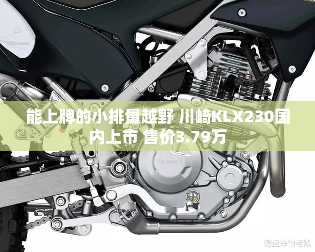 能上牌的小排量越野 川崎KLX230国内上市 售价3.79万 能上牌的小排量越野 川崎KLX230国内上市 售价3.79万