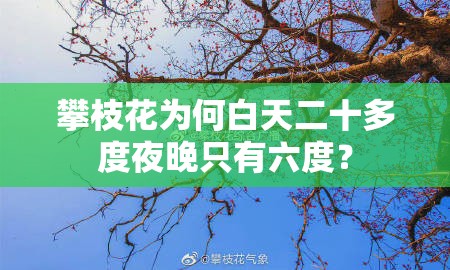 地下车库一氧化碳探测器/地下车库一氧化碳探测器规范