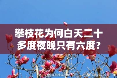 攀枝花为何白天二十多度夜晚只有六度？