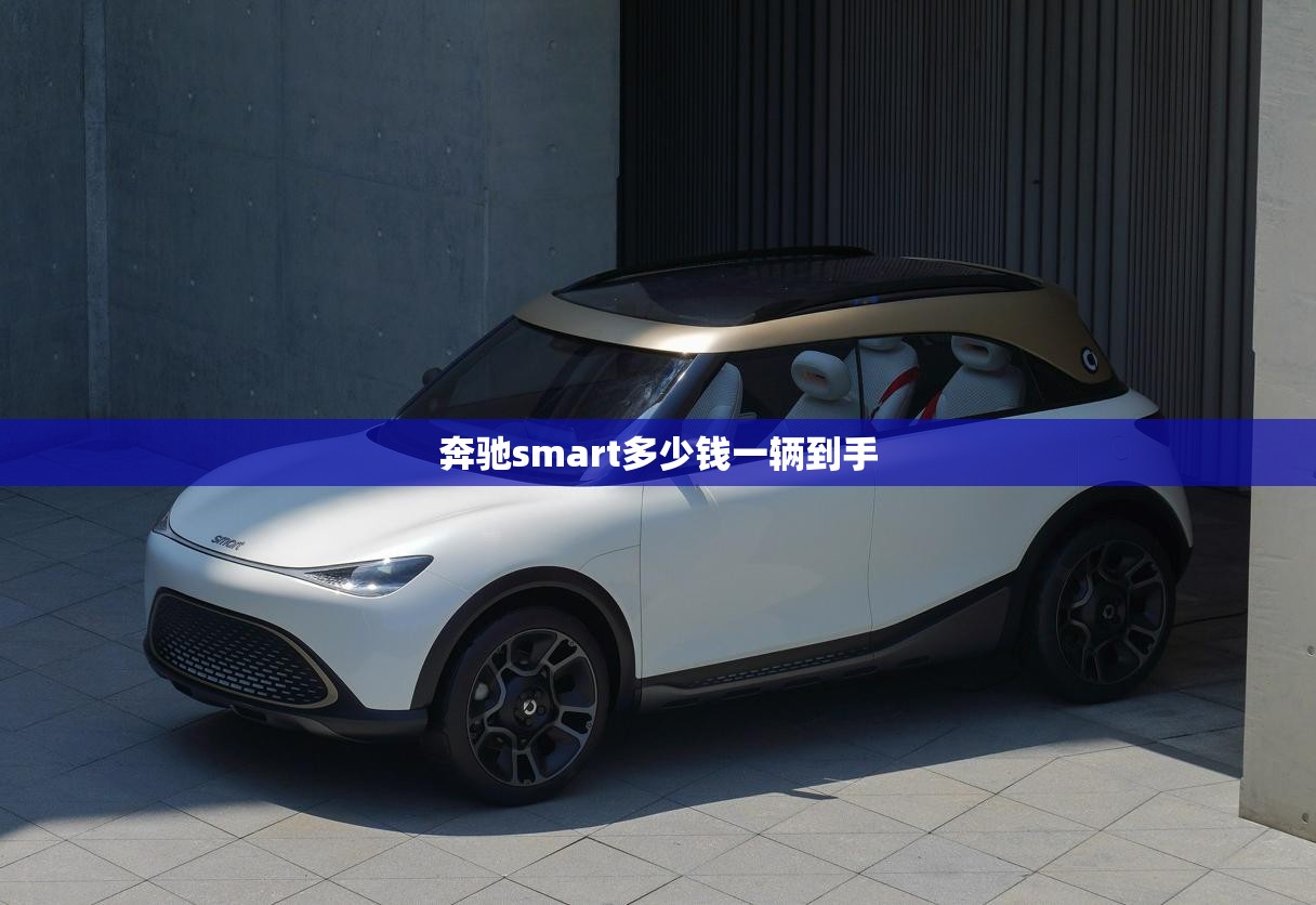 奔驰smart多少钱一辆到手 奔驰smart多少钱一辆到手