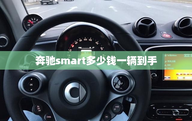 怎么网上选车牌号