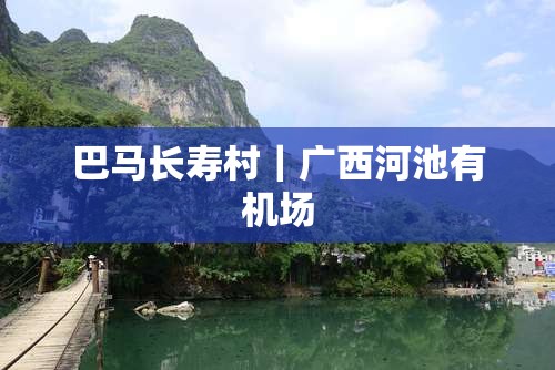 伊柯丽斯的车型参数