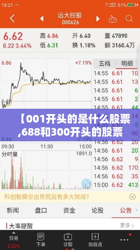 【001开头的是什么股票,688和300开头的股票区别】