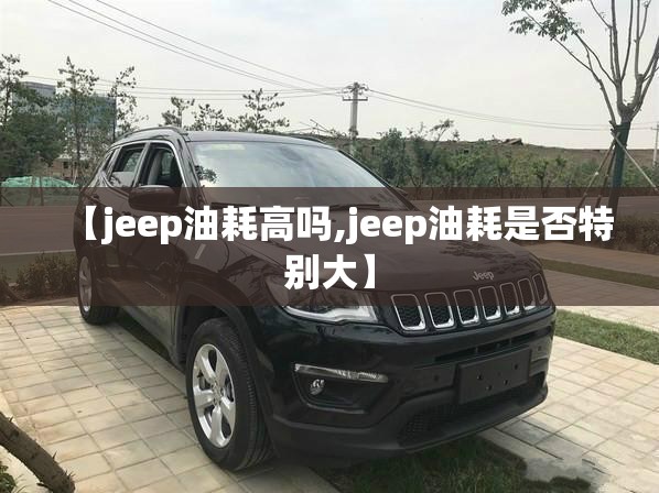【jeep油耗高吗,jeep油耗是否特别大】 【jeep油耗高吗,jeep油耗是否特别大】