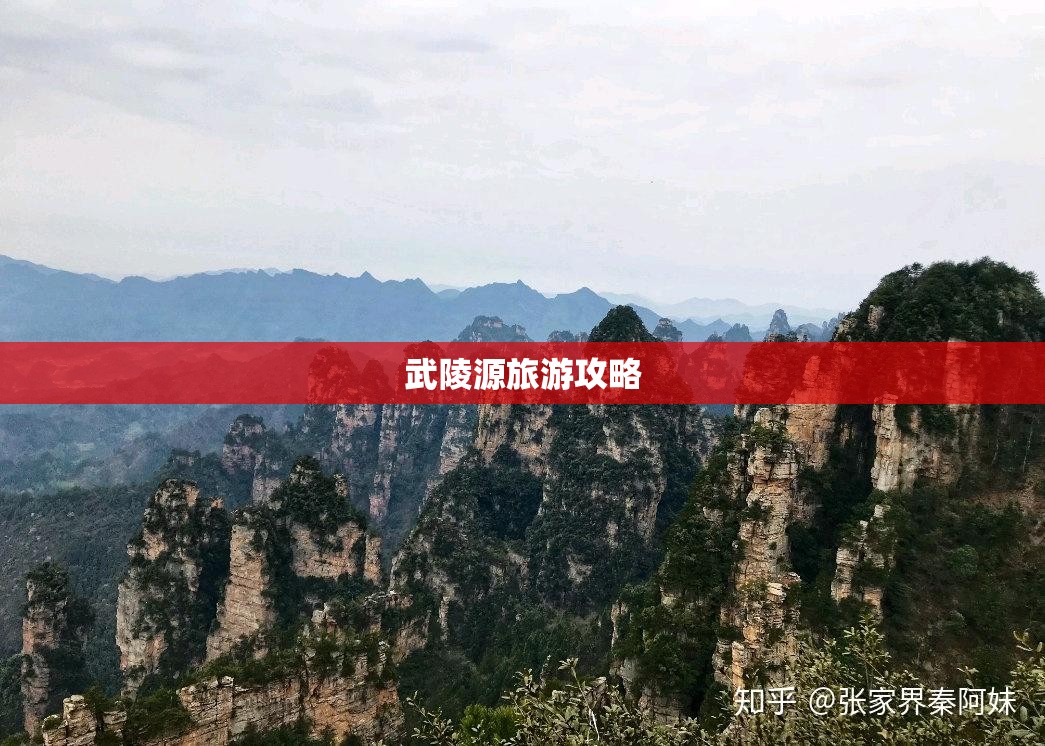 武陵源旅游攻略(武陵源旅游攻略自由行)
