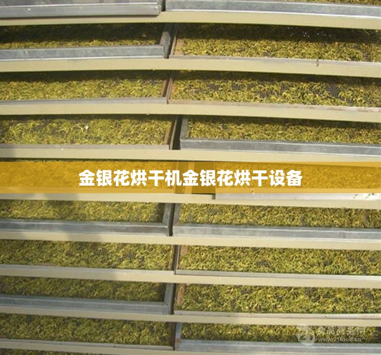 【金银花烘干机金银花烘干设备,金银花烘干机多少钱一台】 【金银花烘干机金银花烘干设备,金银花烘干机多少钱一台】