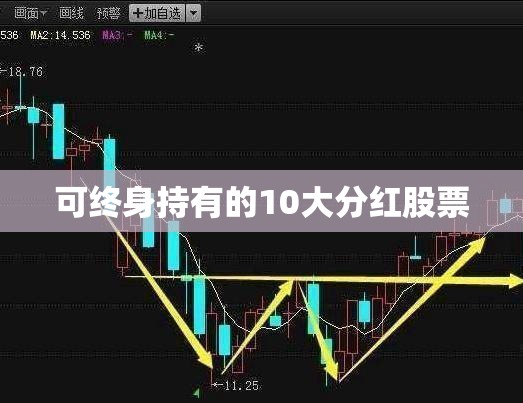 奔腾t99语音控制叫什么名字