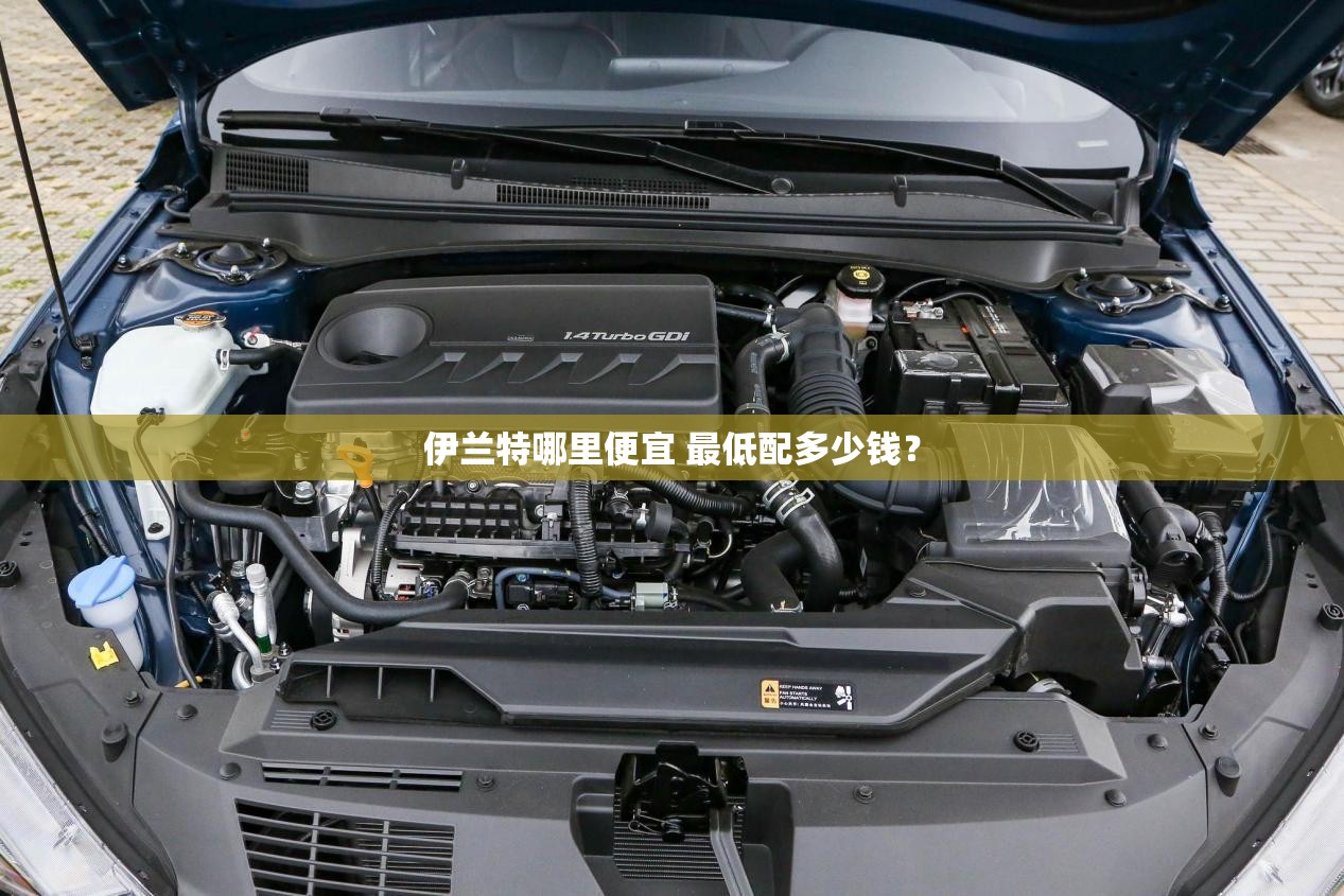 台风苏拉是什么