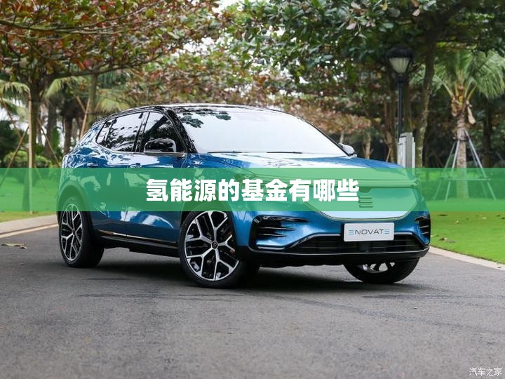 氢能源的基金有哪些