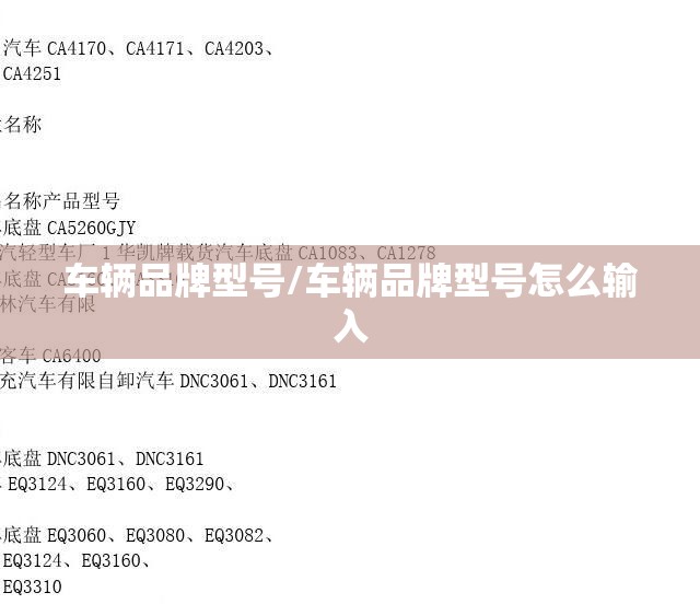 车辆品牌型号/车辆品牌型号怎么输入