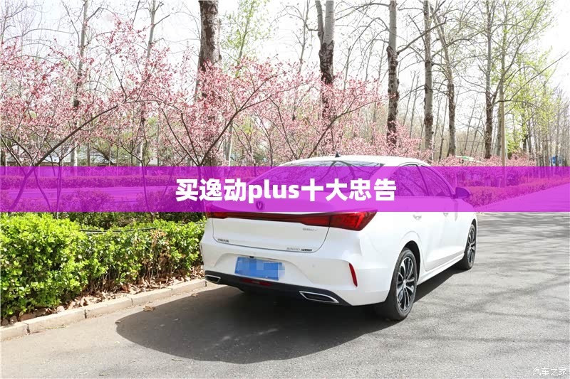 二手车生意现在好做吗(二手车市场生意好做吗)