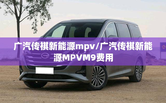 车辆品牌型号/车辆品牌型号怎么输入