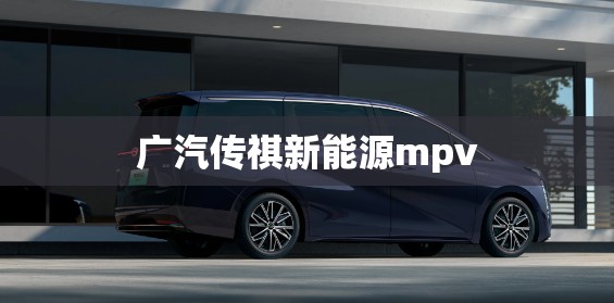 广汽传祺新能源mpv/广汽传祺新能源MPVM9费用
