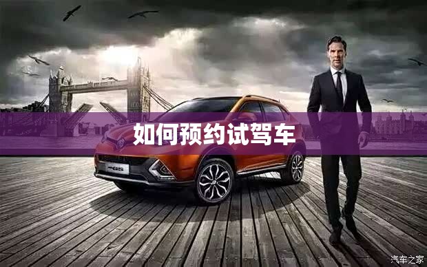 车辆品牌型号/车辆品牌型号怎么输入