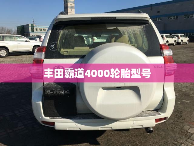 丰田霸道4000轮胎型号/丰田霸道4000轮胎型号规格 丰田霸道4000轮胎型号/丰田霸道4000轮胎型号规格