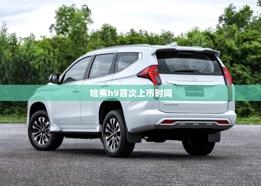 哈弗h9首次上市时间 哈弗h9首次上市时间