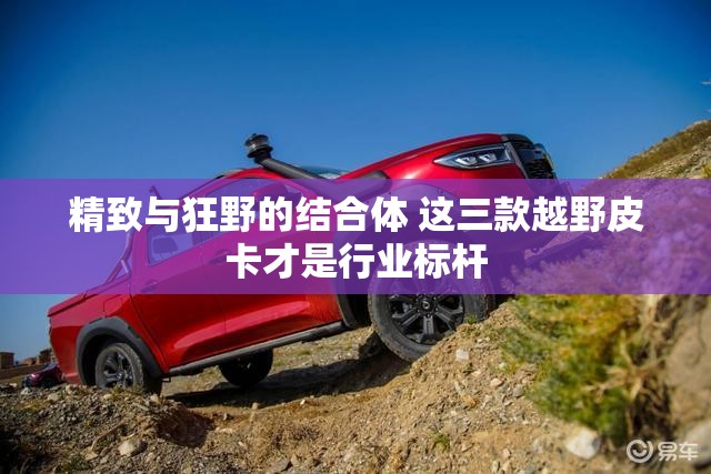 精致与狂野的结合体 这三款越野皮卡才是行业标杆 精致与狂野的结合体 这三款越野皮卡才是行业标杆