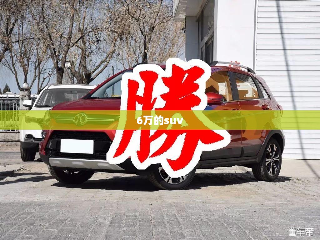 6万的suv/6万的基金一天亏了3000多 6万的suv/6万的基金一天亏了3000多