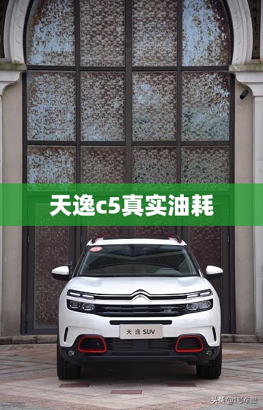 精致与狂野的结合体 这三款越野皮卡才是行业标杆