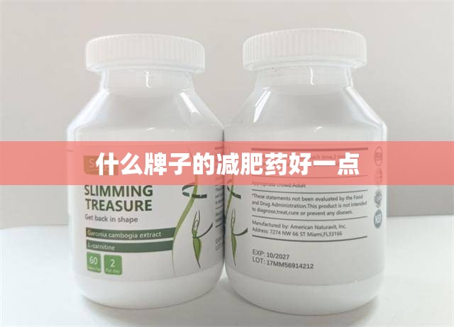 什么牌子的减肥药好一点