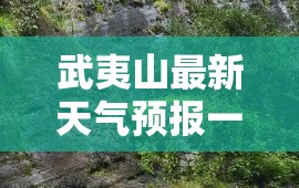 国产汽车销量排行榜